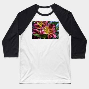 Alstroemeria Peruvian Lily flowers Baseball T-Shirt